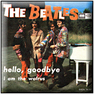  Hello, Goodbye 